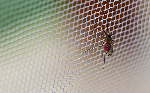 Pest control netting