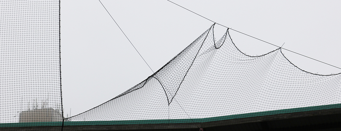 2020 Netting Extension: Is It Enough?