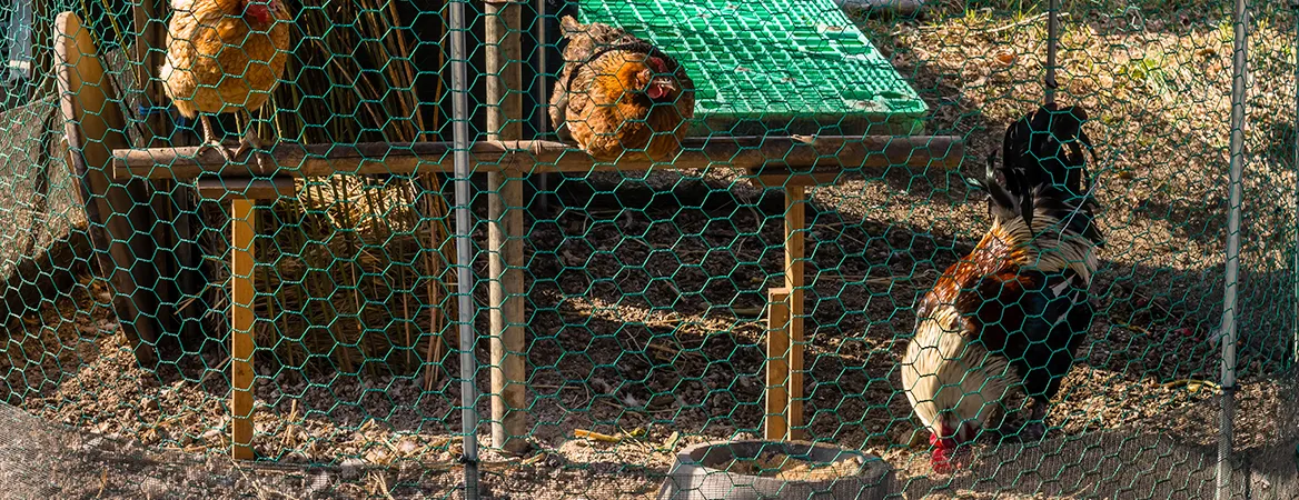 Sturdy Roll Up Multi-purpose Poultry Fencing Plastic Chicken Wire