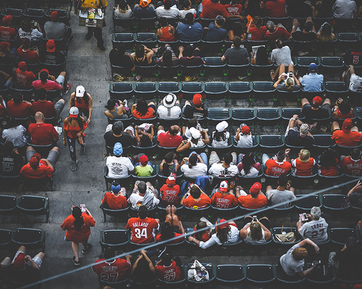 Spectators at a Baseball Game