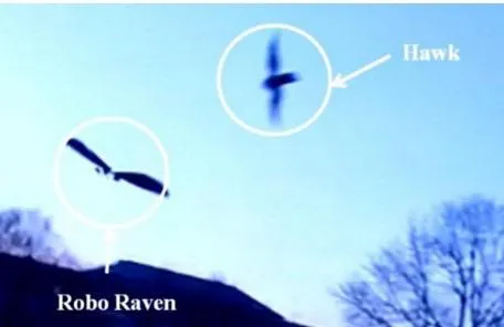 hawk drone comparison