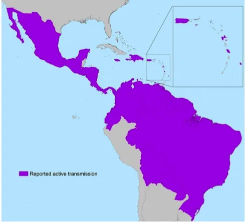Map of the migration of zika virus