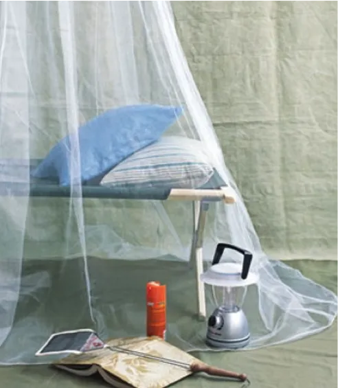 Mosquito net for camp