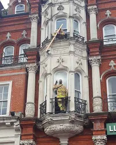 Brave Fire fighters rescuing pigion