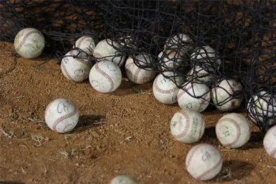 Baseballs in Safety Netting