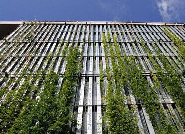 hanging garden with steel netting