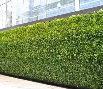 steel net used for hedge row