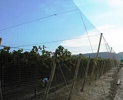 Large area bird netting