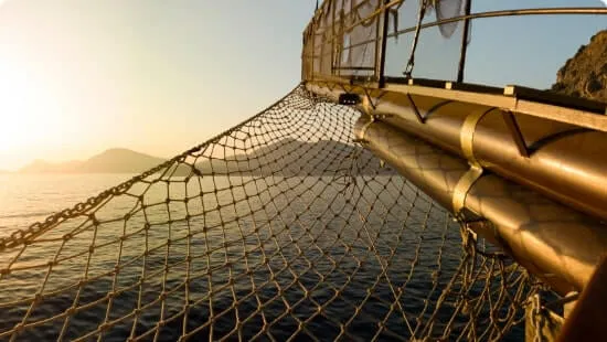 Netting used on a side of a boat