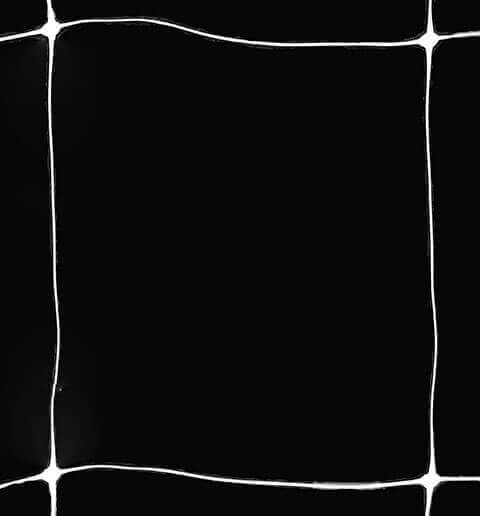 6 inch trellis netting