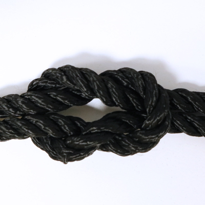 Details about   Cord Loop Pre-Sewn Polyester Rope Abrasion Resistance Climbing Webbing 18 Inch 