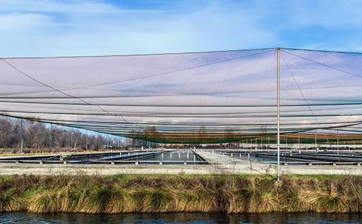 Heavy-duty pond netting products