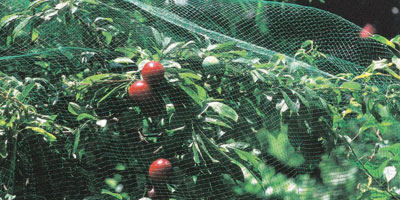 Get A Wholesale rubber mesh netting For Property Protection 