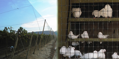 Plastic bird netting