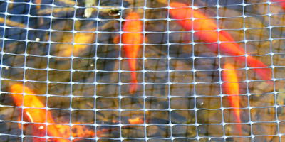 Plastic Pond Netting